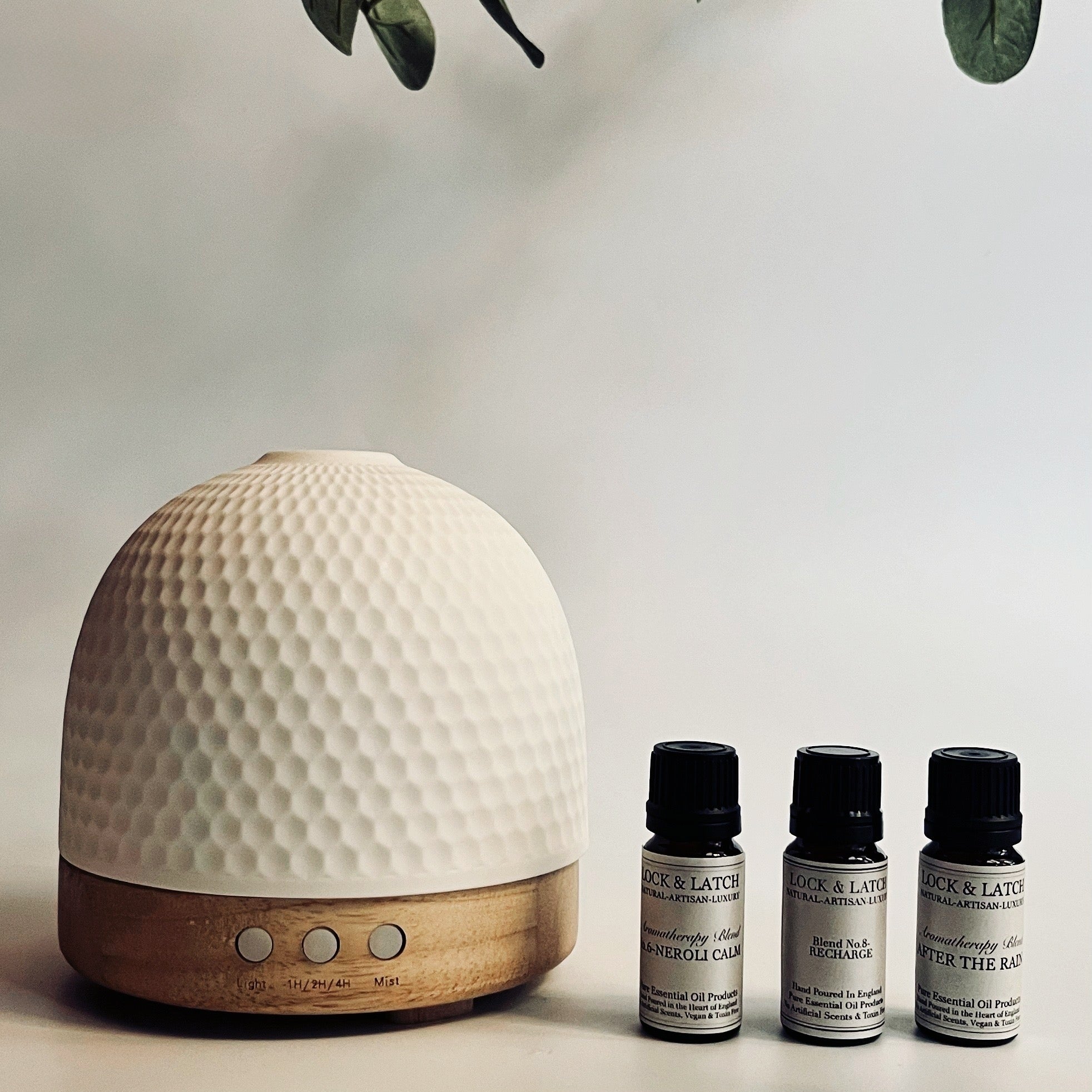 NEW! EcoPod Luxe Dome-Starter Pack