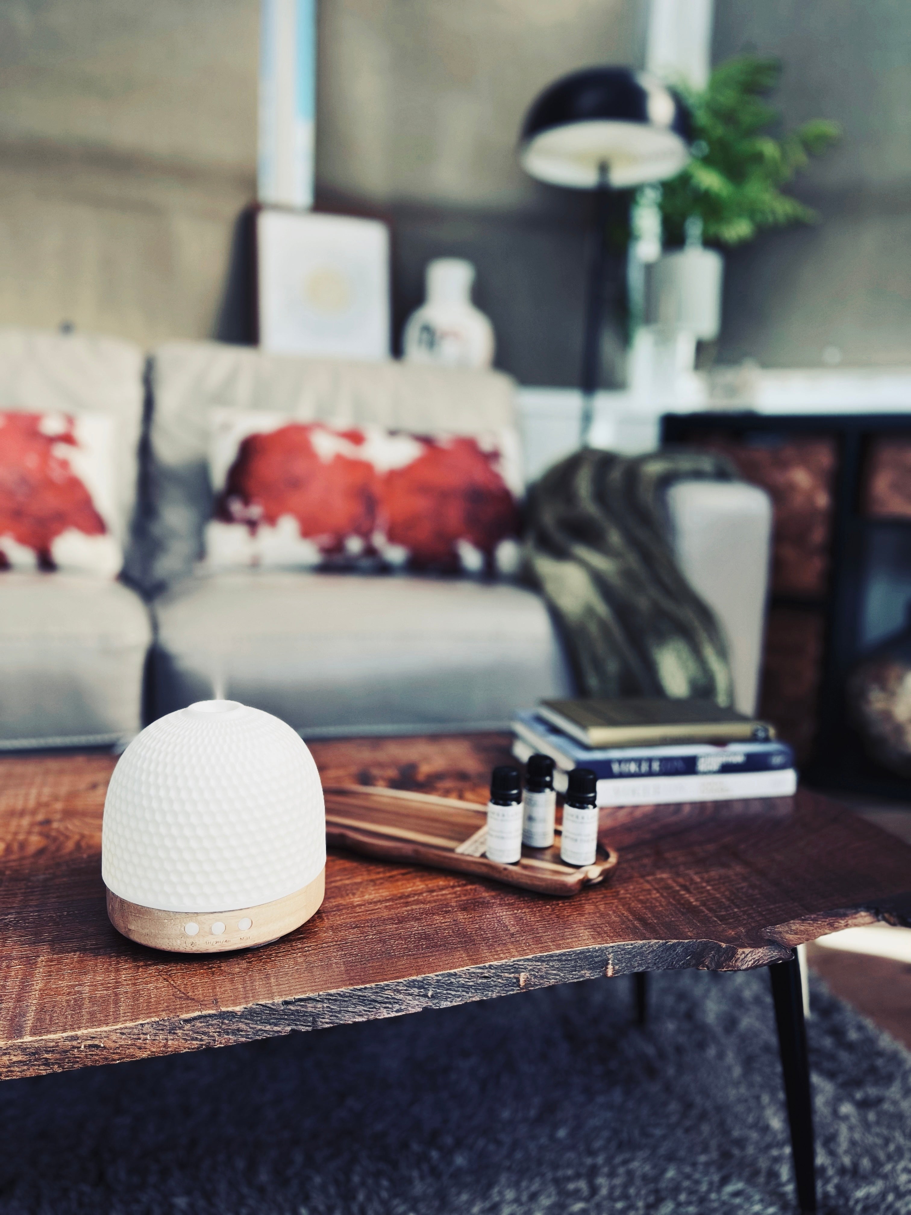 NEW! EcoPod Luxe Dome-Starter Pack