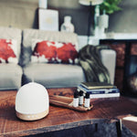 NEW! EcoPod Luxe Dome-Starter Pack