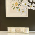 Dark Slate Gray FREE Aromatherapy Soy Candle Offer