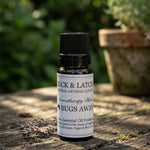 Bugs Away pure essential oil blend (deters rodents too!) 3 sizes