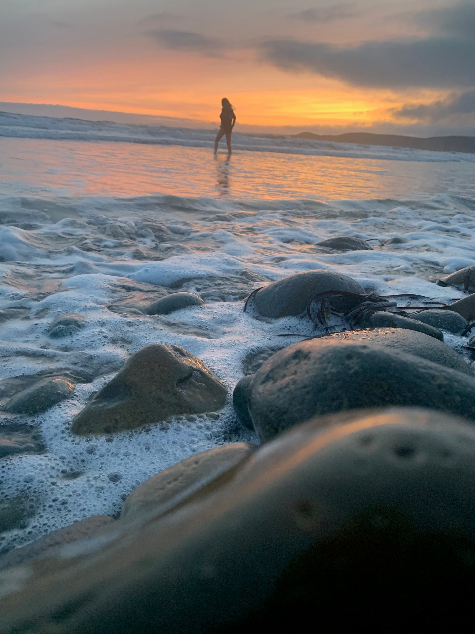 Lock & Latch Aromatherapy 100 Natural Essential Oils