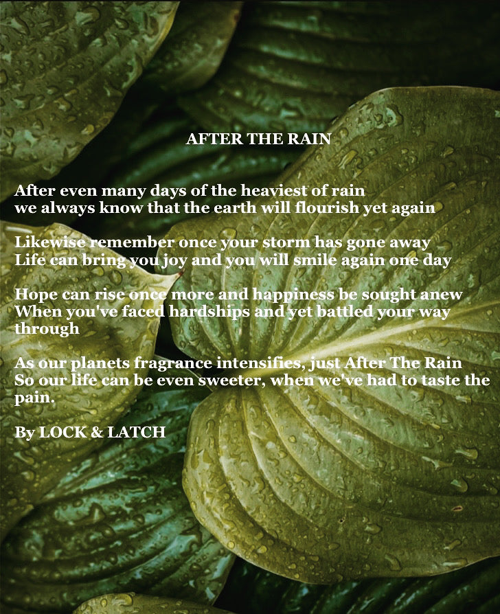No.10-AFTER THE RAIN Reed Diffuser