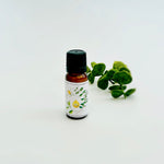Everyday Aromatherapy-10ml Bottles. Choose from Lemongrass, Eucalyptus, Sweet Orange or Lavender.